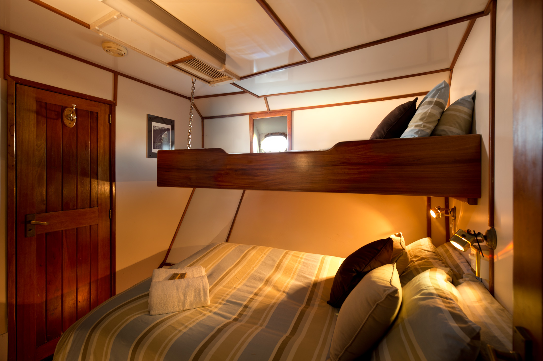 4 Night Great White Expedition